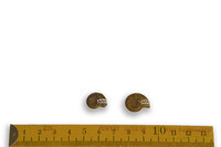 F 03882
<br/>
<br/>
<em></em>